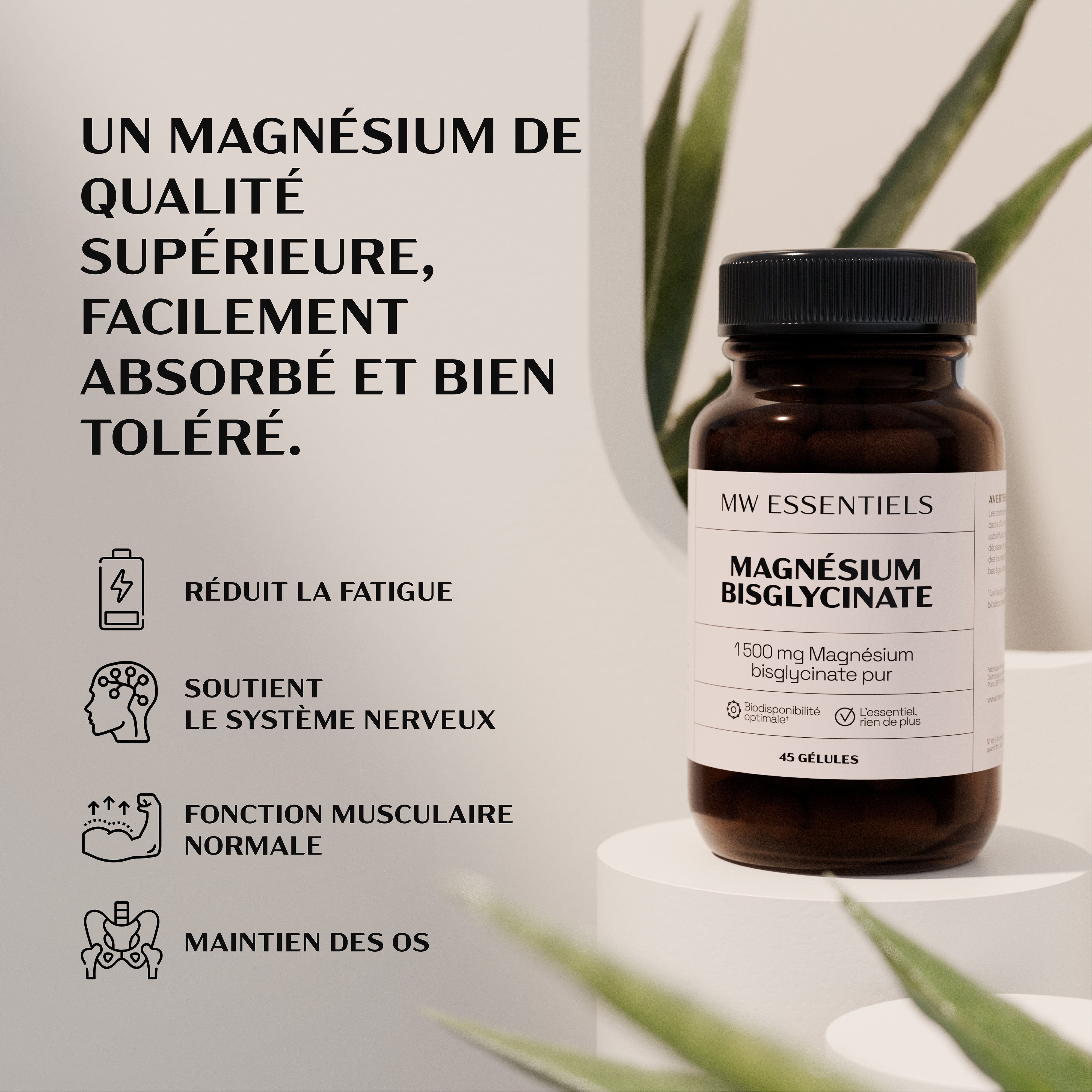 Magnesium Bisglycinate